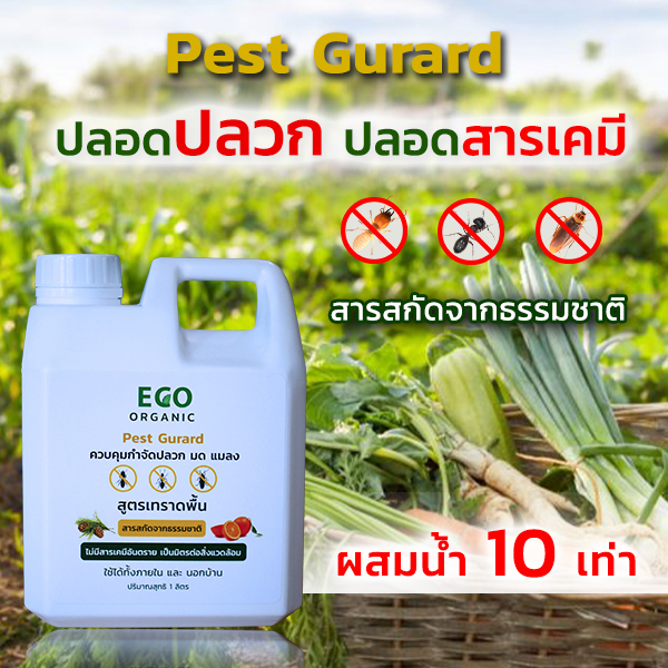 pest-gurard-กำจัดปลวก-ไล่ปลวก-สมุนไพรปลวก-ไล่ปลวกปลูกผัก