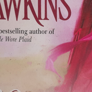 Lady In Red Karen Hawkins Paperback USED หนังสือภาษาอังกฤษ