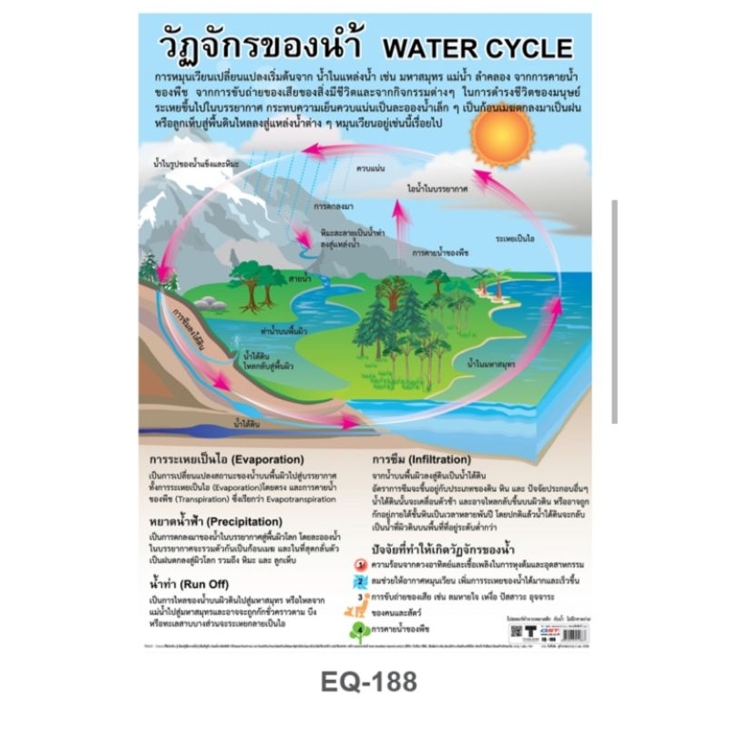 วัฏจักรของน้ำ-eq-188-โปสเตอร์สื่อการสอน-หุ้มพลาสติก-ขนาด-50-70-cm