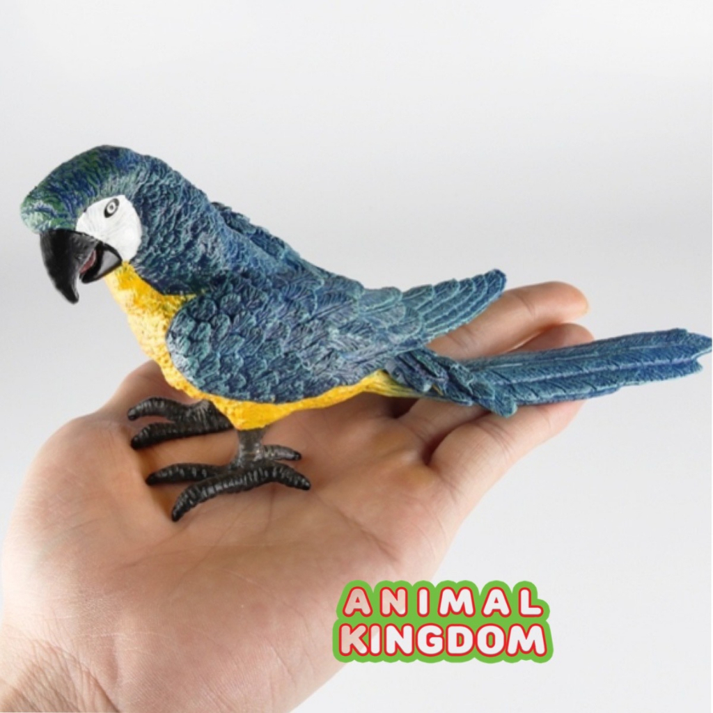 animal-kingdom-โมเดลสัตว์-นกแก้ว-ฟ้าเหลือง-ขนาด-17-00-cm-จากหาดใหญ่