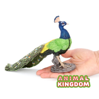 Animal Kingdom - โมเดลสัตว์ นกยูง เขียว ขนาด 26.00 CM (จากสงขลา)