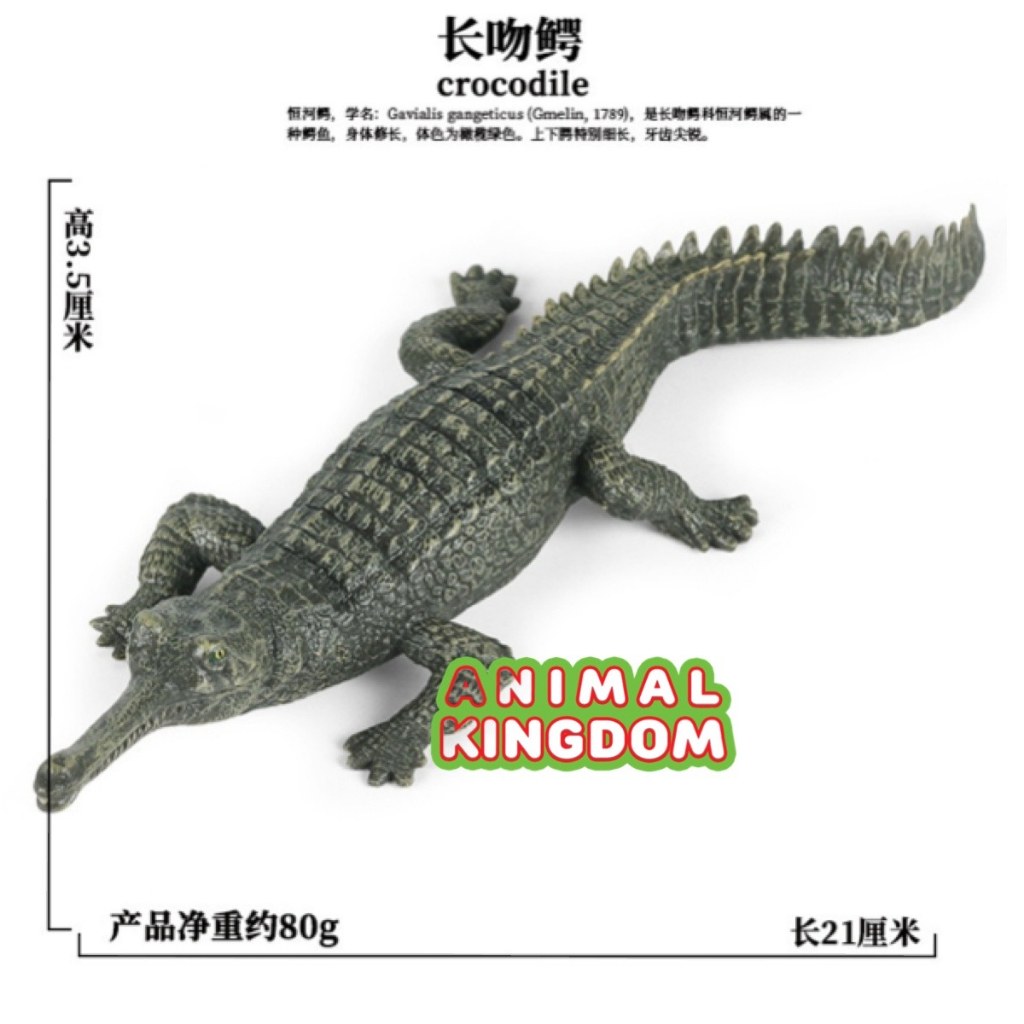 animal-kingdom-โมเดลสัตว์-ตะโขง-เขียว-ขนาด-21-00-cm-จากหาดใหญ่