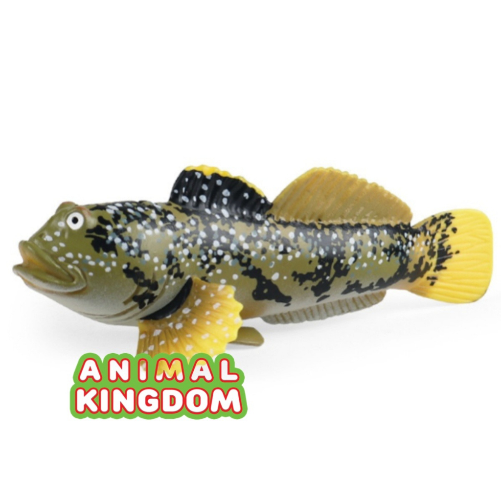 animal-kingdom-โมเดลสัตว์-ปลาตีน-ขนาด-11-00-cm-จากหาดใหญ่