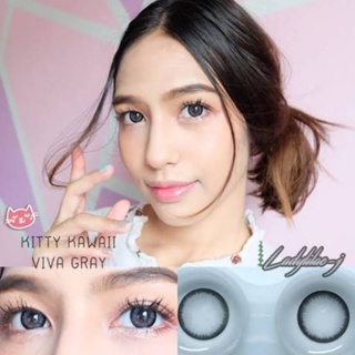 คอนแทคเลนส์ บิ๊กอาย รุ่น Viva สีเทา/ตาล Gray/Brown มีค่าสายตาปกติ (0.00)