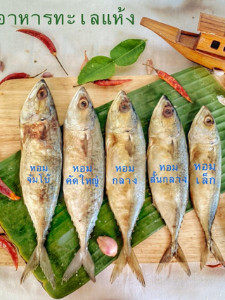 🚚 พร้อมส่ง ‼️ ปลาทูหอม ปลาทูหอมเค็ม ปลาทูเค็ม ไซต์ใหญ่ เนื้อละเอียด หอม อร่อย สด ใหม่ ถูก จาก แหล่งผลิตพื้นบ้าน 1000g