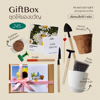 ชุดปลูกดอกไม้ GiftBox เซตให้ของขวัญ