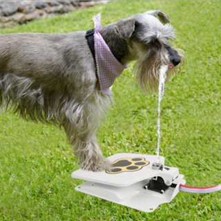 Dog Drinking Water Fountain Step On Dispenser System for Pet Dogs Feeder BNeptuner