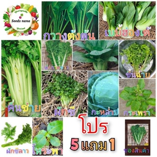 สินค้า ชุดที่ 2 เมล็ดผักสวนครัว กินใบ400-2000เมล็ดซองซิป แพ็คใหญ่ได้เยอะ ปลูกง่ายงอกง่าย