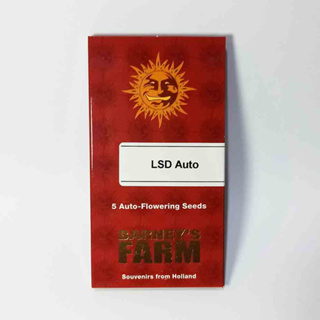 Barneys farm LSD Auto 5 cannabis seeds 420 seeds