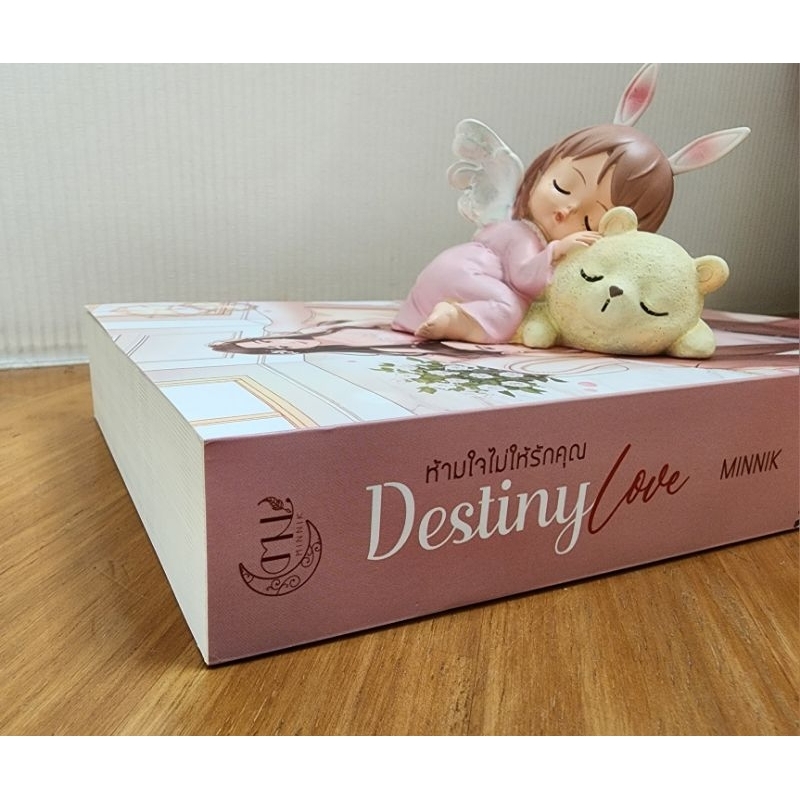 destiny-love-ห้ามใจไม่ให้รักคุณ-minnik-มือสอง-มีปกสวม