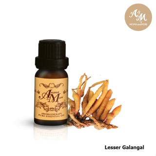 Aroma&amp;More Lesser Galangal (Fingerroot) Essential Oil น้ำมันหอมระเหยกระชาย 100% (Fresh) THAI 5/10/30ML