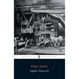 Capital: A Critique of Political Economy, Volume 3 Paperback by Karl Marx (Author)