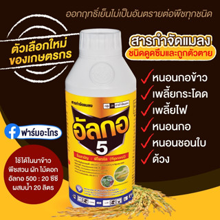 อัลกอ5 ป้องกันและกำจัด หนอนม้วนใบ หนอนห่อใบข้าว เพลี้ยไฟ