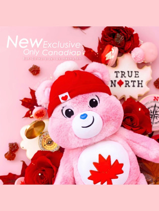 ตุ๊กตา Care Bears รุ่นพิเศษ 🍁 True North Bear 🇨🇦 เฉพาะประเทศ แคนนาดา สินค้านำเข้าแท้ 💯% รุ่นใหม่ก่อนใคร สีสวยน่ารักมาก 🌟