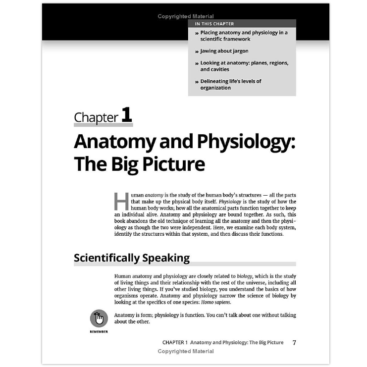 anatomy-amp-physiology-for-dummies-paperback