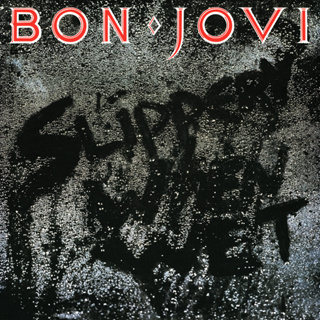 CD Audio คุณภาพสูง เพลงสากล Bon Jovi - Slippery When Wet (ทำจากไฟล์ FLAC คุณภาพเท่าต้นฉบับ 100%)