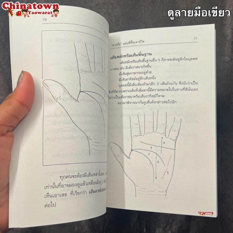 ลายมือ-แผนที่ชี้ชะตาชีวิต-ดูดวงลายมือ-ความรัก-เนื้อคู่-การครองชีพ-การเดินทาง-การเสี่ยงโชค-ดูลายมือ-ญาณทิพย์-หมอดู