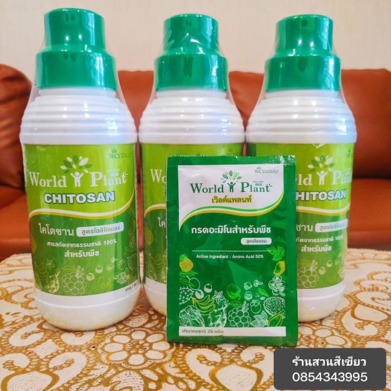 ค่าส่งถูกที่สุด-พร้อมส่ง-1-ชุด-world-plant-เวิลด์แพลนท์-คู่หูมหัศจรรย์-สารเพิ่มประสิทธิภาพ-ไคโตซาน-1-set-ขวด-ซอง