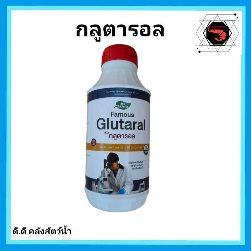 กลูต้า-บีเคซี-ฆ่าเชื้อรา-เชื้อแบคทีเรีย-โปรโตซัว-และไวรัส-ในน้ำ-ในสัตว์น้ำและสัตว์บก-ยามีทะเบียน-ปลอดภัย-ขนาด-1-ลิตร