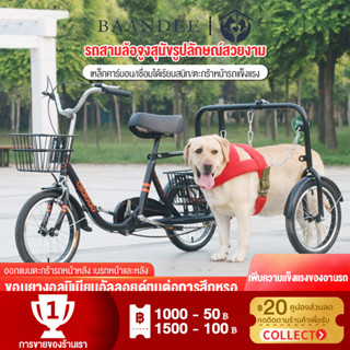 อุปกรณ์ลากจูงสุนัข รถสามล้อจูงสุนัข รถจักรยานลากจูงสุนัข อุปกรณ์ฝึกซ้อมโดยเฉพาะ อุปกรณ์ฝึกซ้อม รถสามล้อลากจูงสุนัข