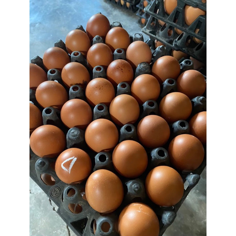 ไข่ไก่เบอร์-4-ปลอดสารเคมี-สะอาด-สด-ใหม่-จากฟาร์มวิรัช