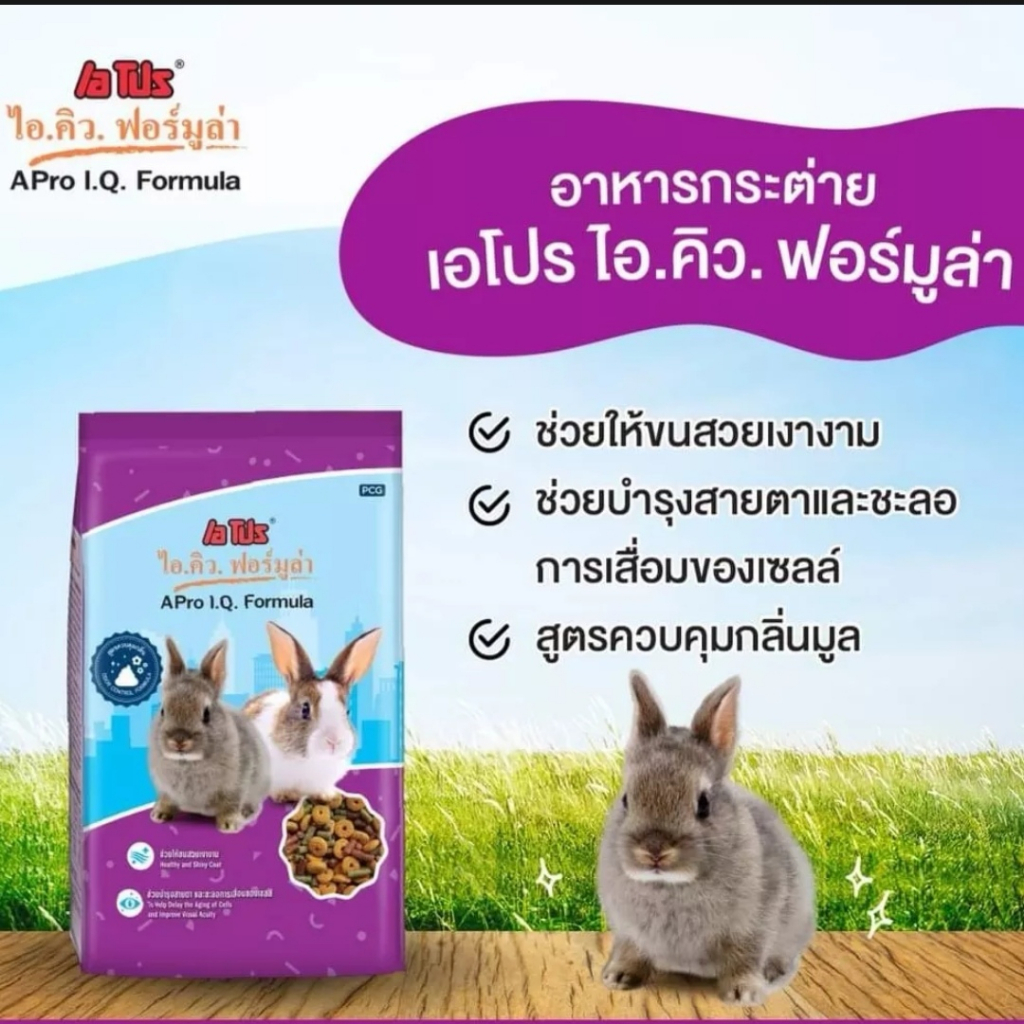 apro-i-q-formula-เอโปรอาหารกระต่าย-ไอ-คิว-ฟอร์มูล่า-สำหรับกระต่ายตั้งแต่หย่านมจนถึงพ่อแม่พันธ์-1-kg-สีม่วง