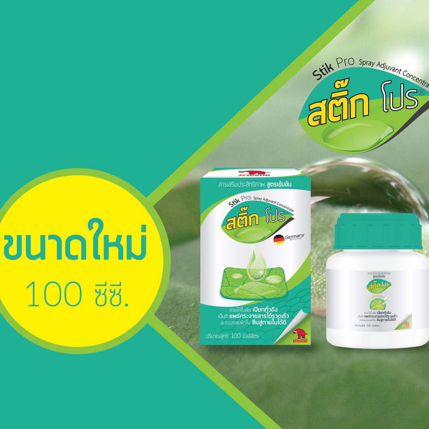 จับใบ-สติ๊กโปร-ยกลัง-ขนาด-100-ซีซี-24-กล่อง-ชิ้นละ-55-บาท