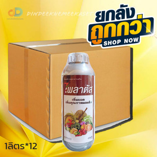 (ยกลัง12ขวด)ไพลาตัส (สังกะสี 4.%) ตรา Arysta 1ลิตร ธาตุอาหารเสริม เพิ่มยอดเพิ่มคุณภาพผลผลิต