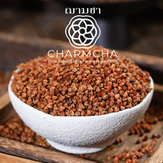ชาบัควีท หรือ บักวีต (Buckwheat Tea) เมล็ดธัญพืชที่นำมาชงดื่มเป็นชาอุดมไปด้วยสารอาหาร Charmcha ฌามชา ชาดอกไม้