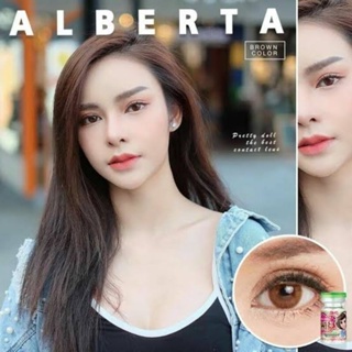 คอนแทคเลนส์ รุ่น Alberta  สีเทา/ตาล Gray/Brown มีค่าสายตาปกติ (0.00) เปลี่ยนแทนทุกเดือน