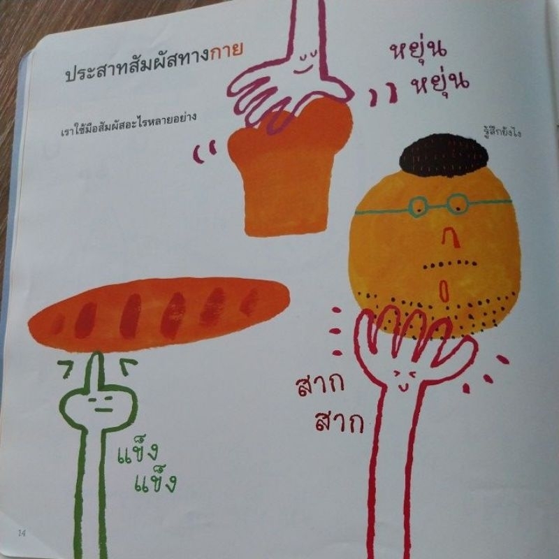 หนังสือสำหรับเด็ก-อายุ5ปีขึ้นไป-สีสวยน่าอ่าน-เรื่อง-รู้จักประสาทสัมผัส