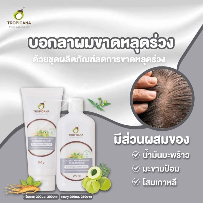 tropicana-oil-แชมพูสำหรับผมขาดหลุดร่วง-สูตร-non-paraben-anti-hair-loss-shampoo-290-มล-06-26