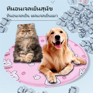 แผ่นเจลเย็นสัตว์เลี้ยง ที่นอนเจลเย็นสัตว์เลี้ยง เบาะแมวเบาะสุนัข  แผ่นลเย็นPet Cool mat ที่นอนเจลเย็น🐶🐱ที่นอนเย็น