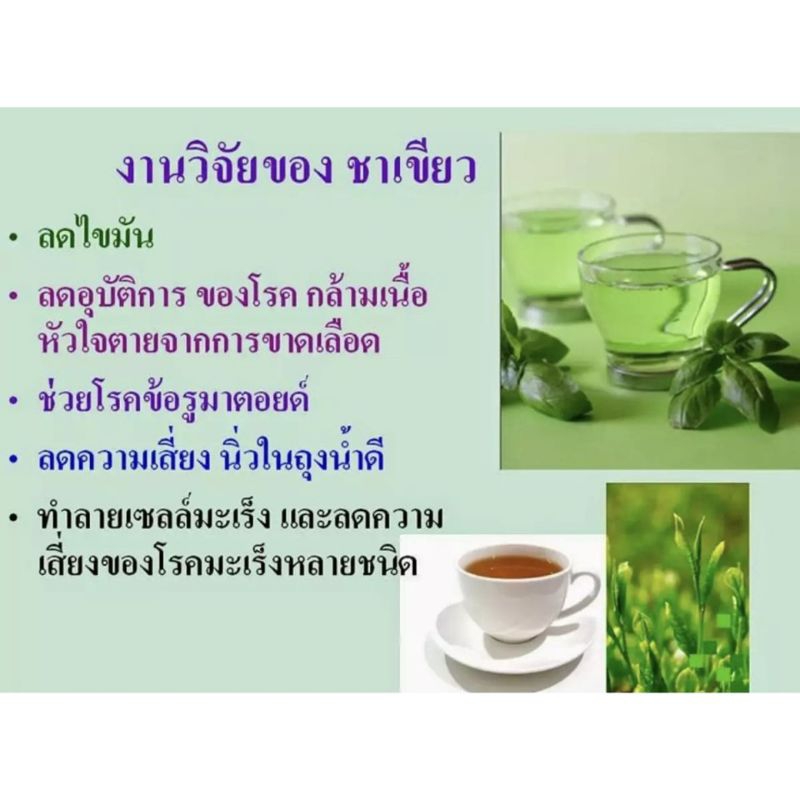 ผลิตภัณฑ์เสริมอาหาร-สารสกัดจากชาเขียว