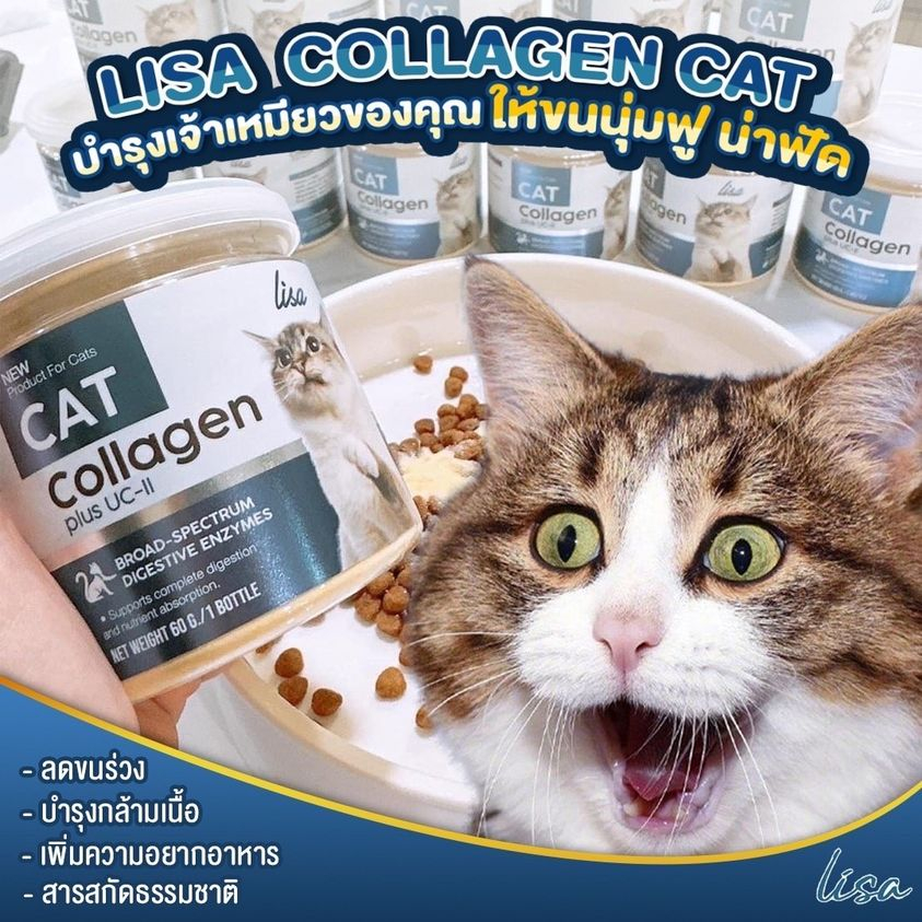 lisa-cat-collagen-ลิซ่า-ผงเสริมอาหารบำรุงขน-สำหรับแมว