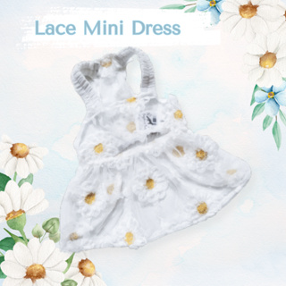 Dogster &amp; Pals: Lace Mini Dress