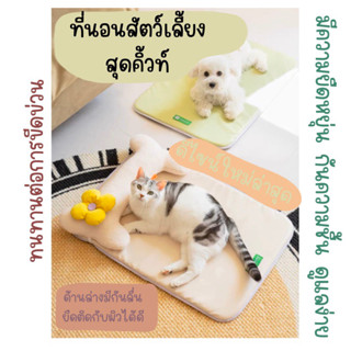 [ติดตามมีส่วนลด] พร้อมส่ง ที่นอนแมว ของเล่นแมว ที่นอนให้ความเย็น แบรนด์ mewoofun