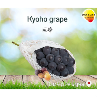 Kyoho Grape (selected by ESSENCE)