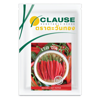 CLAUSE ตราตะวันทอง พริกหนุ่ม สายพันธุ์ลูกผสม เรดซัน (HOT PEPPER Red Sun F1)