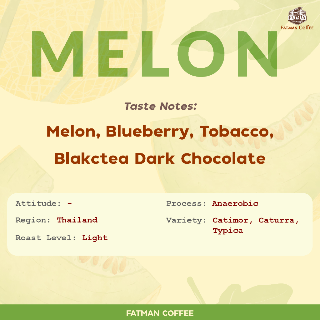 ราคาส่ง-1-3-kg-เมล็ดกาแฟ-น่าน-melon-thailand