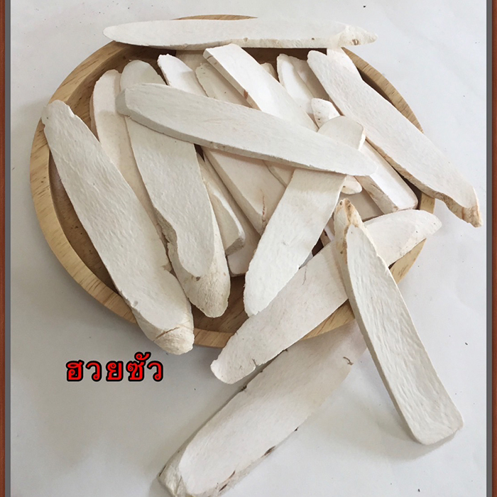 ฮ่วยซัว-ฮวยซัว-หรือห่วยซัว-chinese-yam