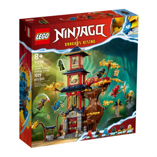 LEGO® Ninjago 71795 Temple of the Dragon Energy Cores - เลโก้ใหม่ ของแท้ 💯% กล่องสวย พร้อมส่ง