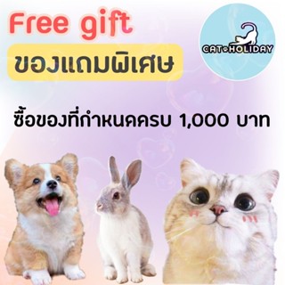 ของแถม CatHoliday ของแถมเมื่อซื้อสินค้าที่กำหนดครบ 1,000 บาท
