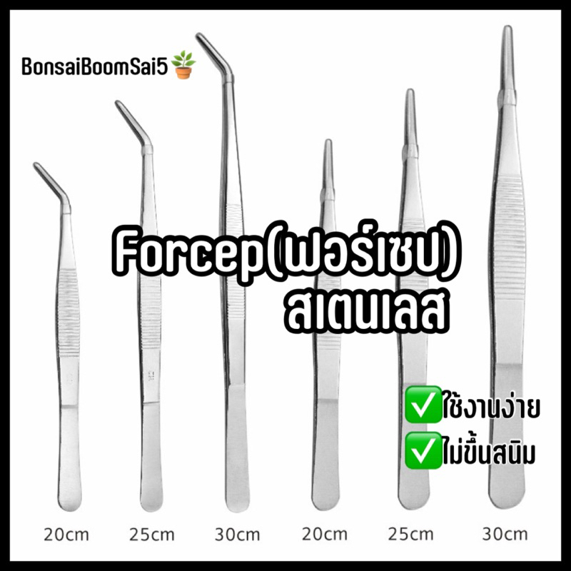 *พร้อมส่งจากไทย* ฟอร์เซป Forcep ปากคีบ ปลายตรงและปลายงอ | Shopee Thailand