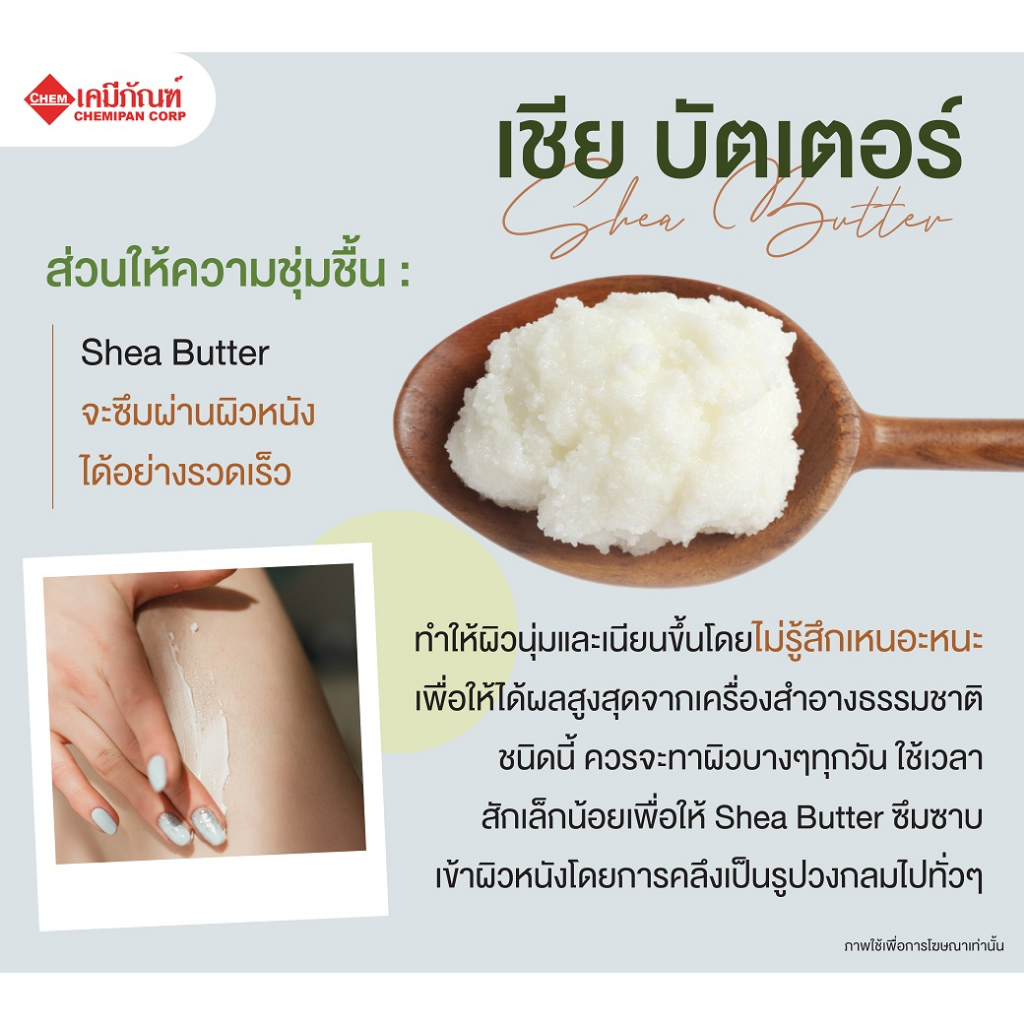 shea-butter-เชีย-บัตเตอร์