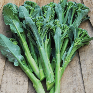 ‼️มาใหม่ เมล็ด เบบี้บล็อคโคลี่สีเขียว - Green Sprouting Broccoli