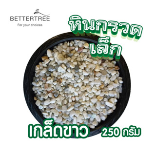 หินกรวดเล็ก เกล็ดขาว 250 g หินประดับตกแต่ง  หินใส่กระถางเล็กๆ หินแม่น้ำ หินใส่แจกัน หินตกแต่งสวนถาด หิน หินสี  ต้นไม้