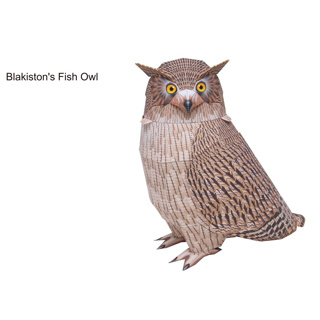 โมเดลกระดาษ 3D : Blakistons Fish Owl นกฮูกปลา Blakistons กระดาษโฟโต้เนื้อด้าน  กันละอองน้ำ ขนาด A4 220g.