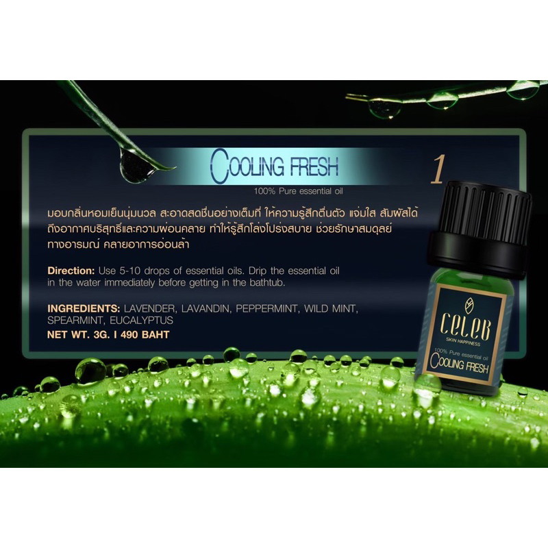100-pure-essential-oil-สัมผัสกลิ่นบริสุทธิ์จากธรรมชาติ