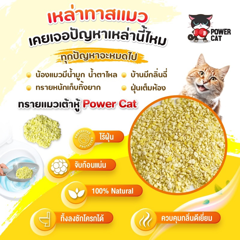 ทรายแมวเต้าหู้-แบบเกร็ด-power-cat-กลิ่นนม-ทำจากข้าวโพด